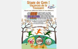 Stage vacances Toussaint 2025