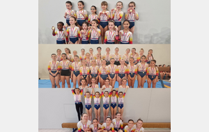 Division &amp; Challenge Départemental 1 Session