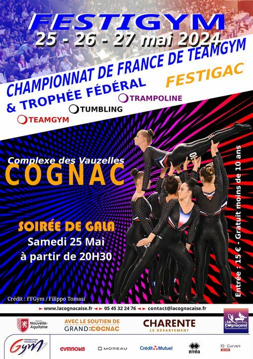 Championnat de France & Festi'gym Teamgym