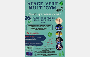 Stage loisir Multi'sport  Ecolo'gym 