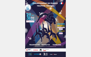 Championnat de France Teamgym