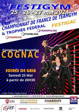 Championnat de France &amp; Festi'gym Teamgym