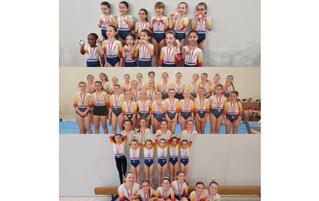 Division &amp; Challenge Départemental 1 Session