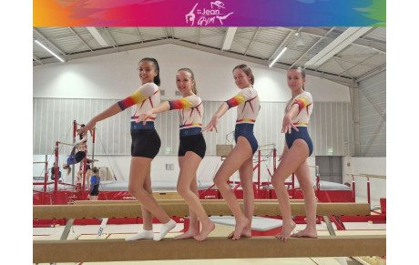 Finale Régionale Fédérale A Colomiers GAF