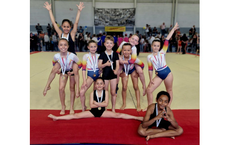 Finale Régionale Teamgym L'Isle Jourdain